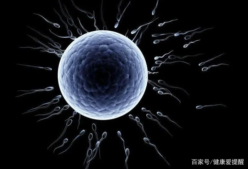 精子不液化和液化精子的区别,精子不液化和不完全液化有区别吗