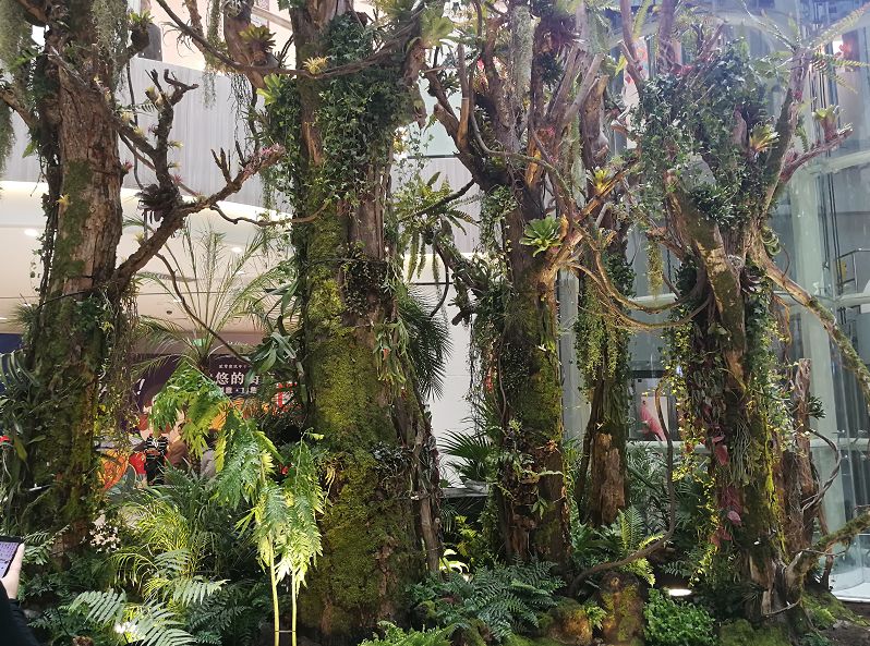 好特卖郑州店yoyopark,零跑郑州yoyopark