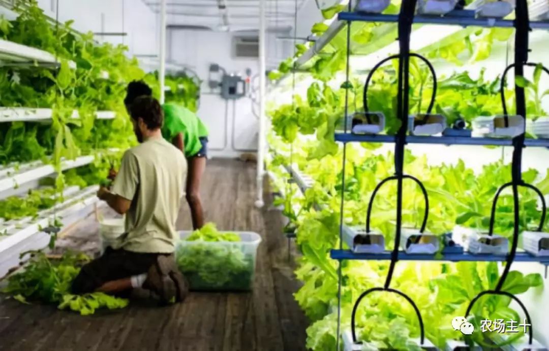 特色集装箱农场,集装箱打造农场建筑