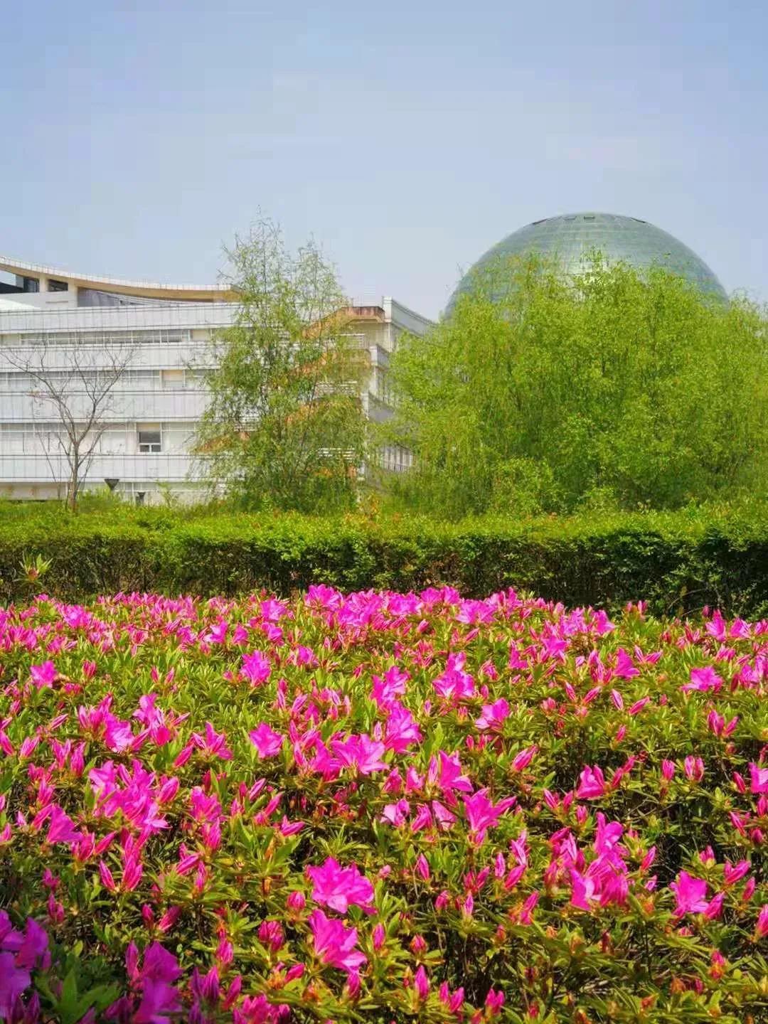 江苏财经大学,南京财经大学双非院校排名