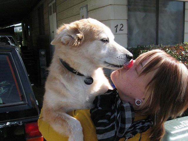 狗狗不爱刷牙有口臭怎么办,两个月的狗狗有口臭怎么办