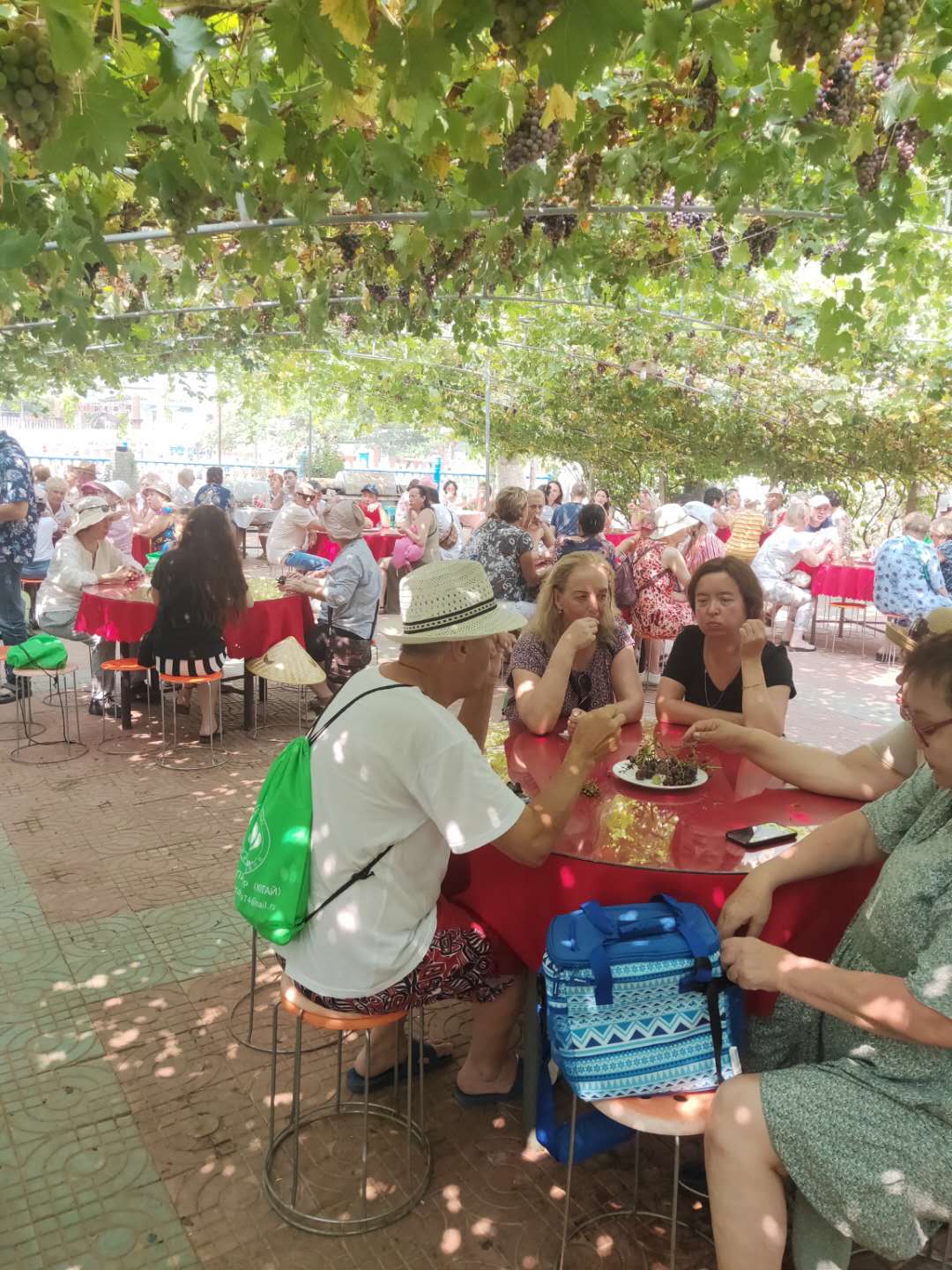 昌黎葡萄沟最好农家院,昌黎葡萄沟农家院可接待10人左右