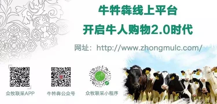 奶牛产后怎么保健,奶牛产后怎么预防疾病