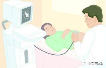 孕期周刊，第二十六周