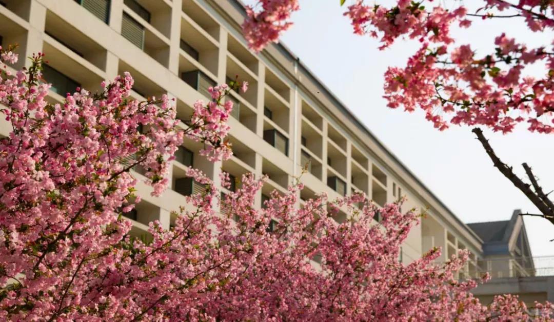 江苏省高校（三十一）苏州科技大学