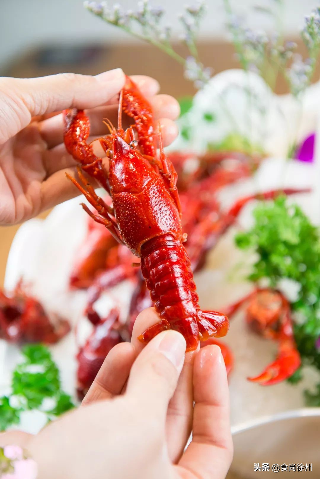 徐州地道小龙虾,徐州小龙虾哪家正宗
