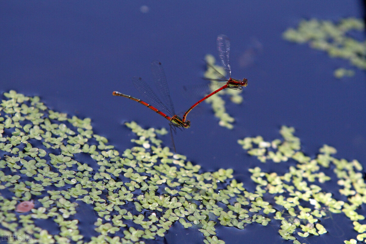 文章结尾应该怎么写？用这三种方法，让你的文章香飘十里