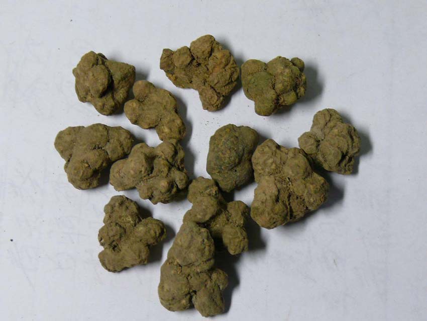 腰肌劳损的最佳康复方法,腰肌劳损的自我治疗和恢复的方法