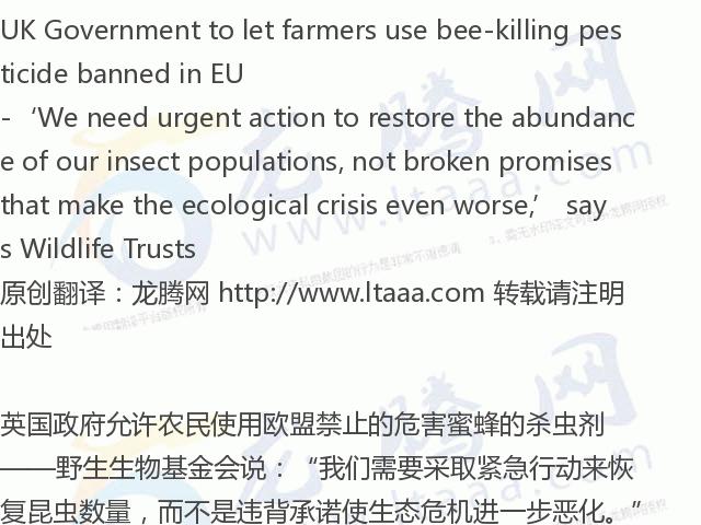 「龙腾网」英国政府允许农民使用欧盟禁止的危害蜜蜂的杀虫剂