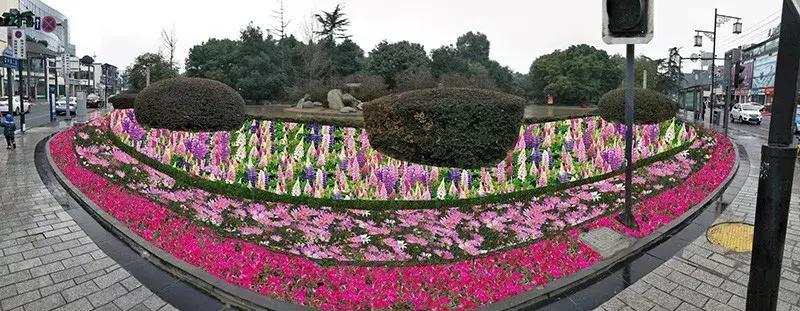 双流区绿化景观,双流县景观花园设计