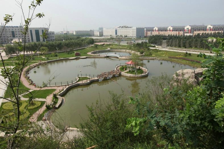 黑龙江省200-300分的公办专科学院,哈尔滨华德学院和东方学院哪个好