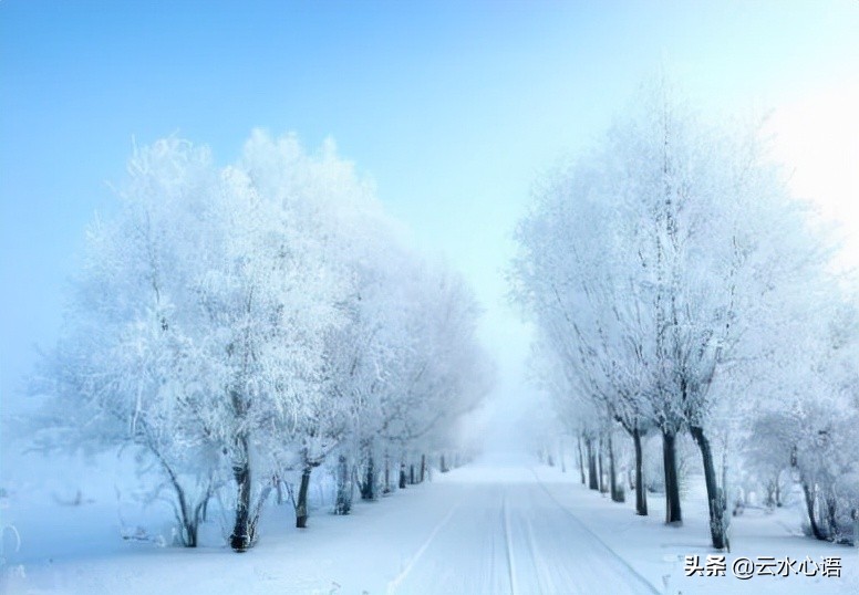 黄庭坚的一首七律，文笔非凡，更有言外之意