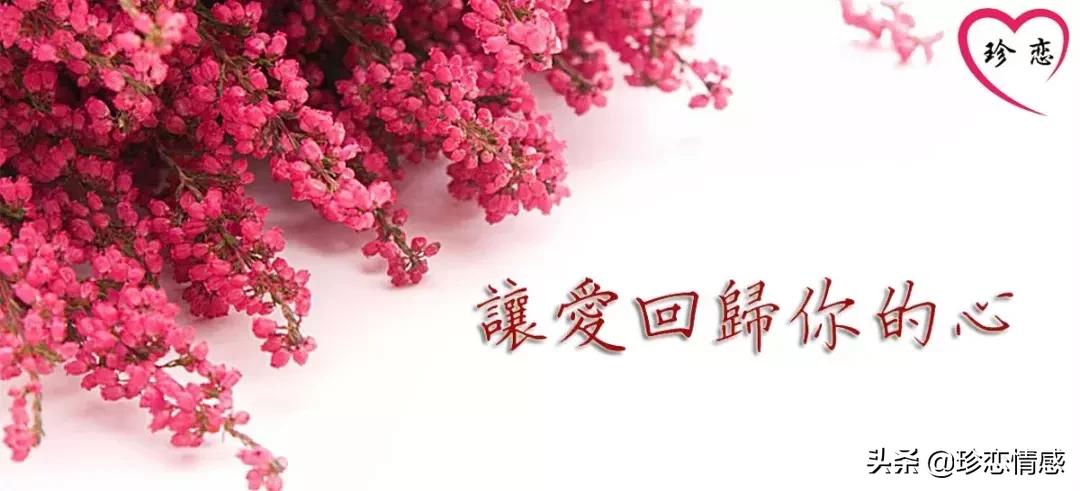 老公生气怎么哄发什么信息给他,惹老公生气了怎么哄挺严重的