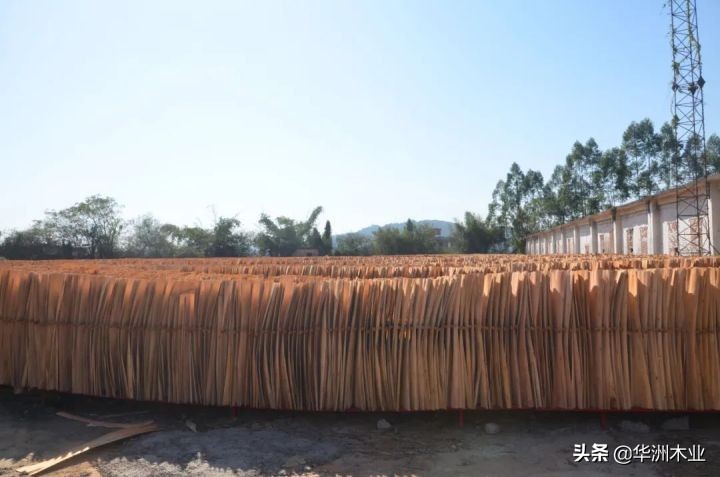 华洲木业多层板价格,华洲木业实木多层板