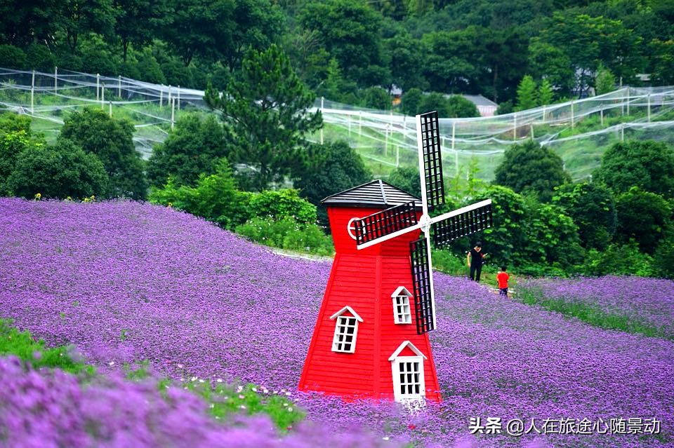 杭州市余杭区景点规划,杭州市余杭区旅游景点大全