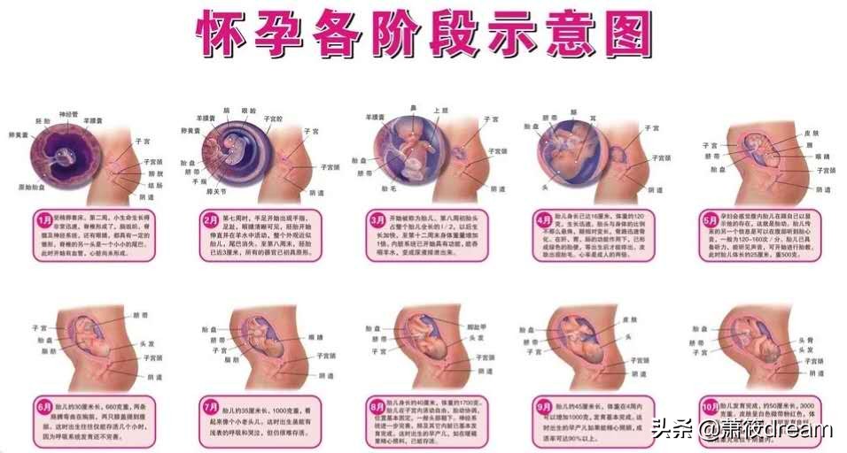 常说“孕育是一个很神奇的过程”，来看看你都发生了哪些变化？