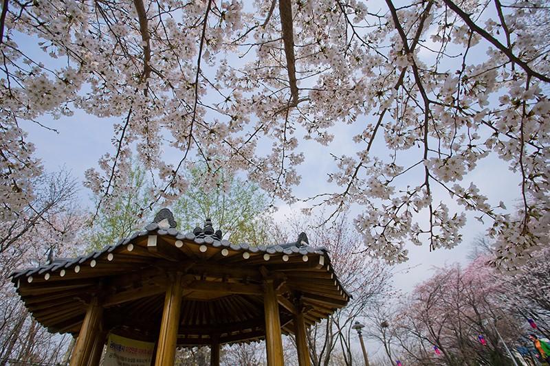 第一次去首尔攻略,上海到韩国首尔旅游攻略