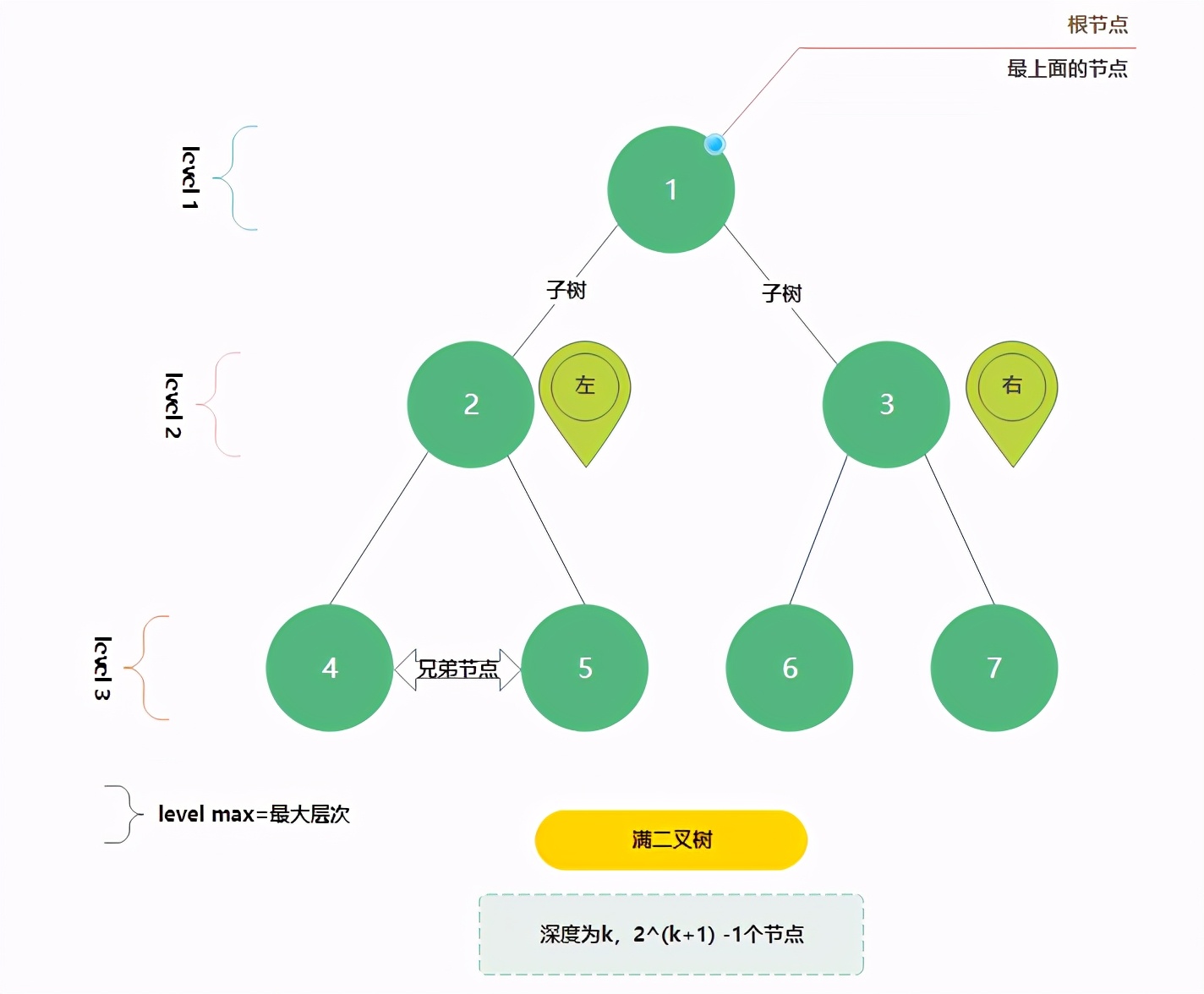 二叉排序树的图怎么画,二叉树的树形结构怎么画