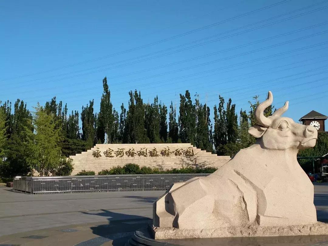 体验火车观光不用去火车站，来北京这个免费公园就可以！距市中心18公里，人少适合闲逛！