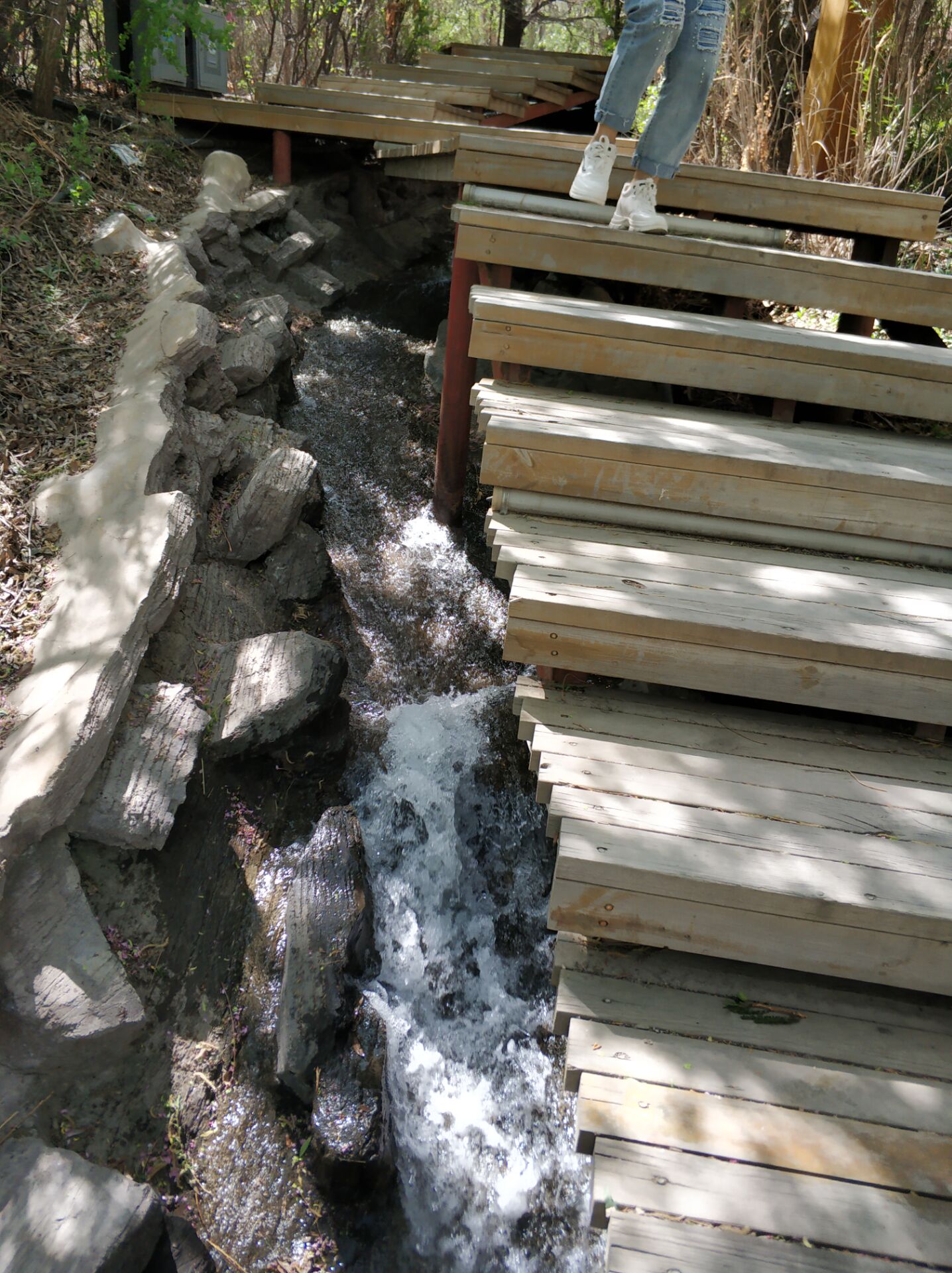 乌鲁木齐居然有这么漂亮的地方,乌鲁木齐周边森林公园在哪里