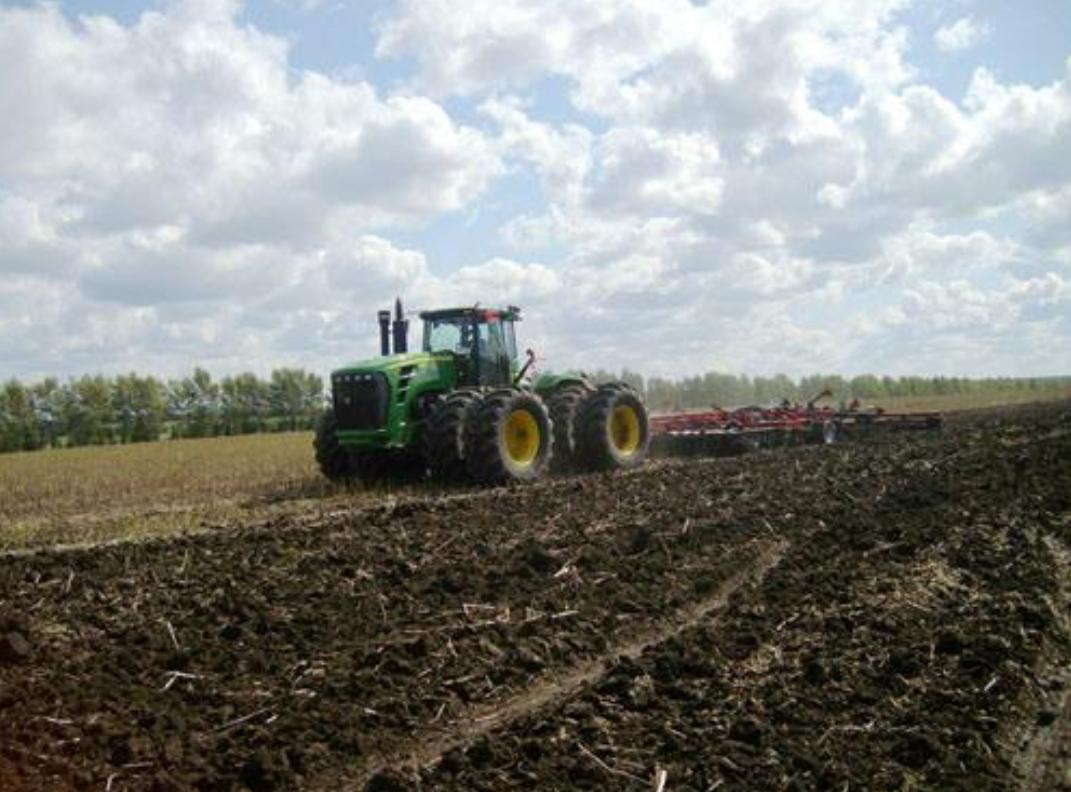 怎样种植黄豆发芽,如何正确的播种黄豆