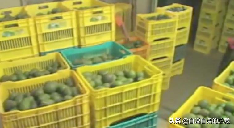 牛油果是坏了吗,牛油果几十年前