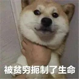 微信支付宝里的钱能随便消失吗,微信和支付宝的钱会不见吗