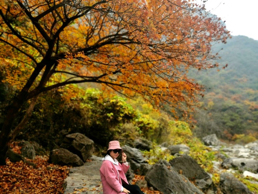 徐州旅游团云台山两日游,河南云台山3日游价格跟团游
