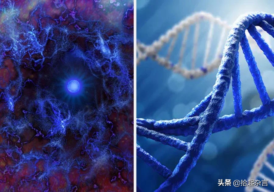 神秘的基因的秘密,神秘的遗传基因