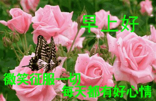 最新早安心语大全,最新早安心语经典语录图片