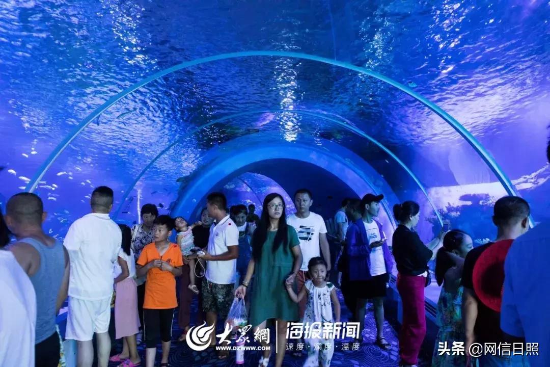 全是东北人的海边,日照海边下饺子