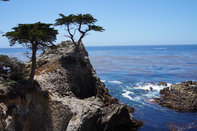 北京美国签证预约中介,美国签证办理最新保姆式教程