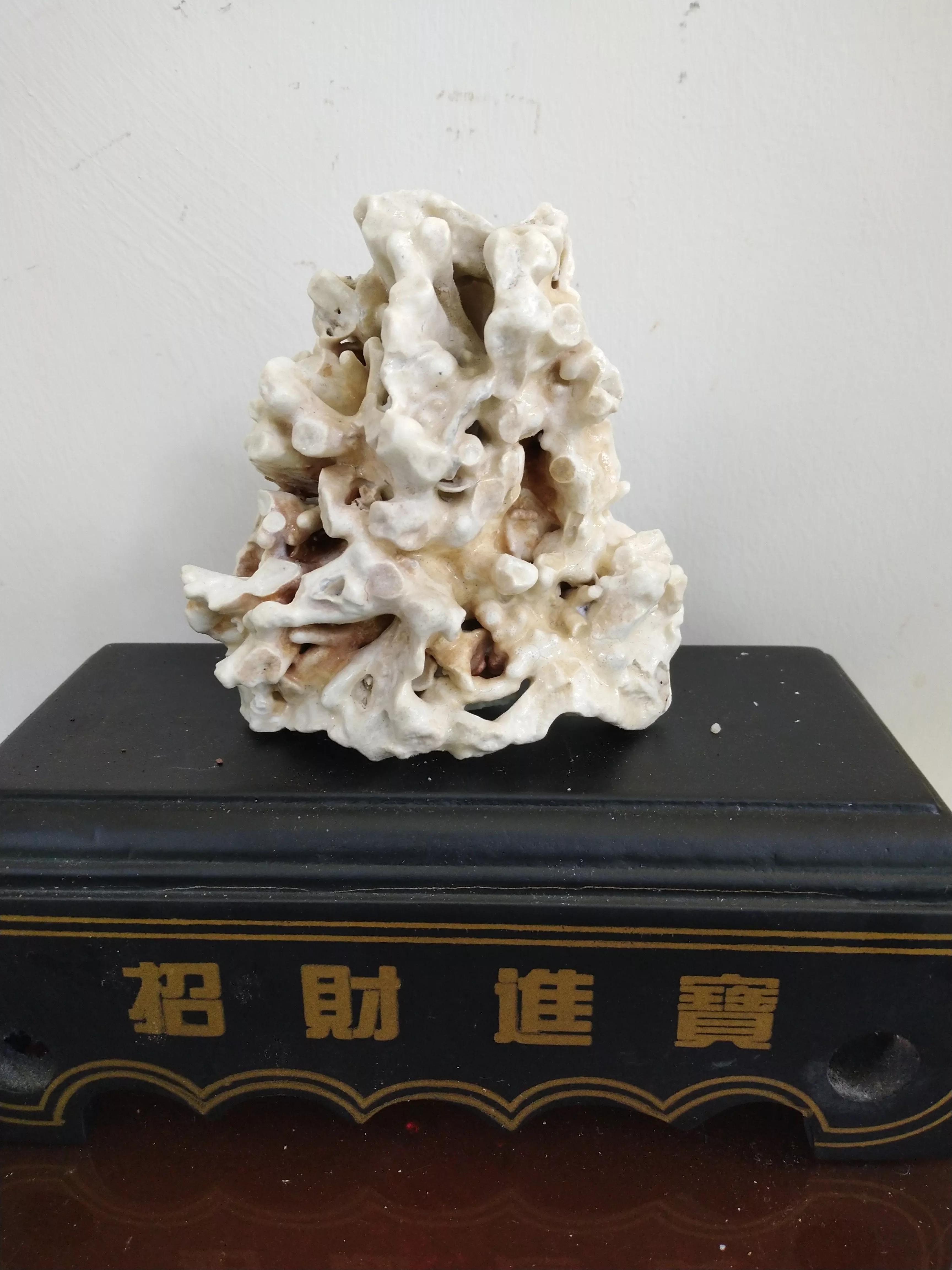 发现大自然的美的作文500字,发现大自然的美一篇作文