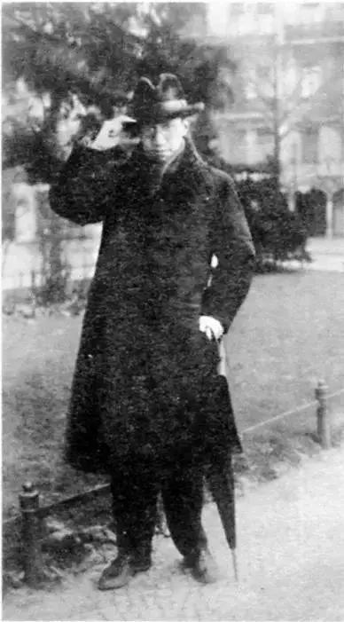 陈寅恪一生负气半世凄凉,陈寅恪一生负气半世凄凉意思