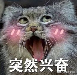 @所有人|满满干货！蜀黍手把手教你换备胎，每个人都能学会。。。