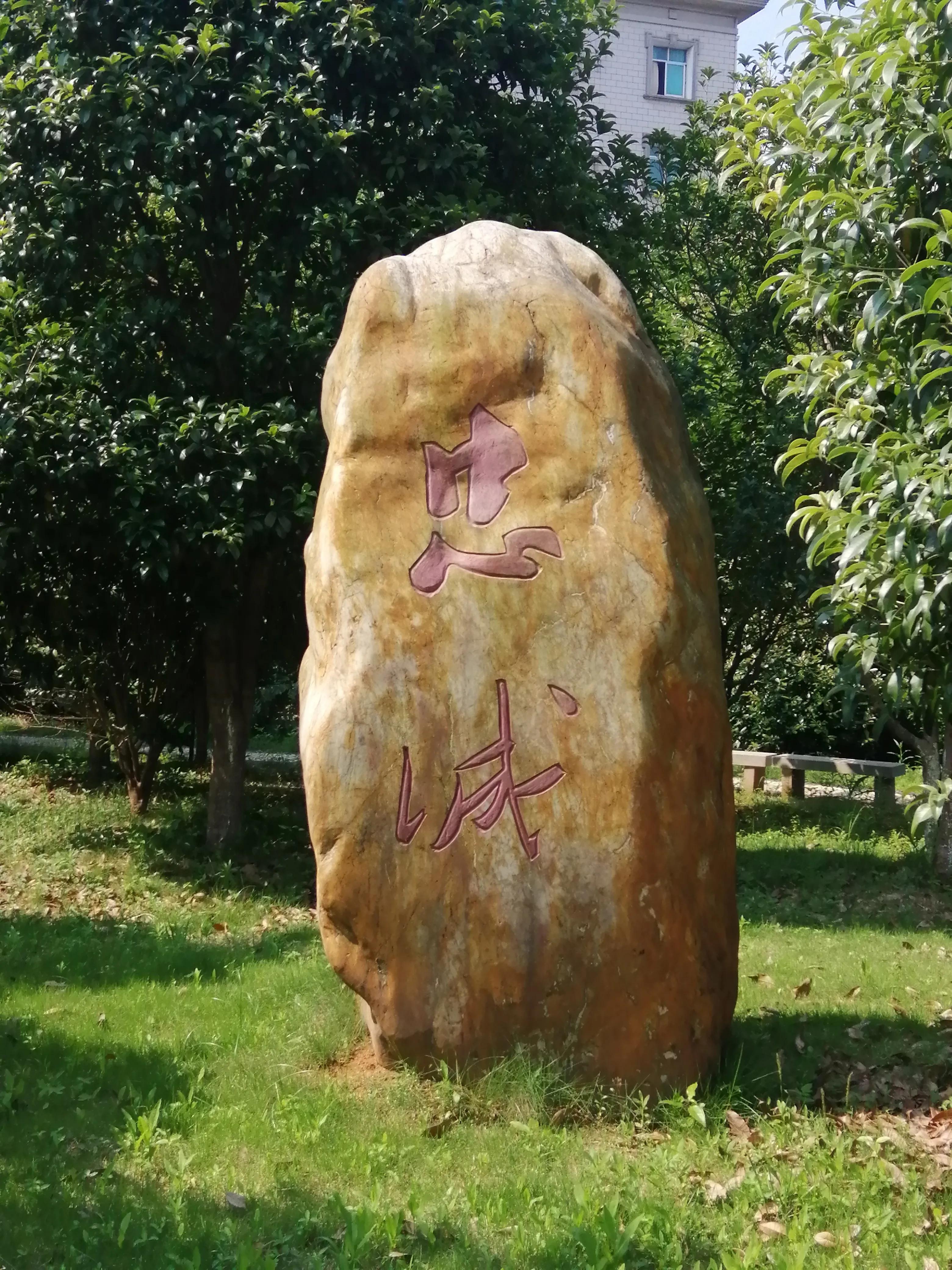 党校环境优美,市委党校崭新亮相