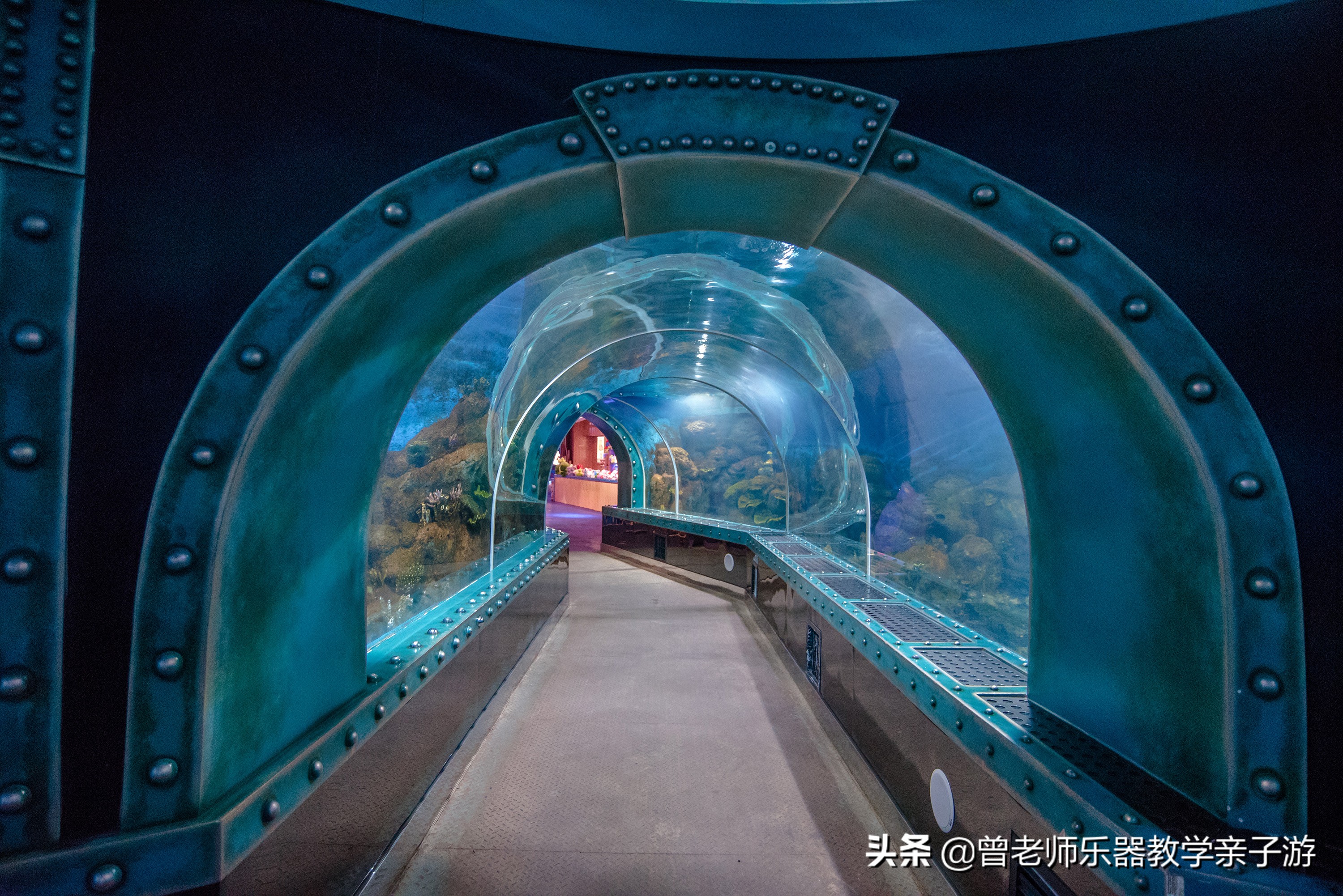 西安太奥海洋馆,西安极地海洋世界海豚表演