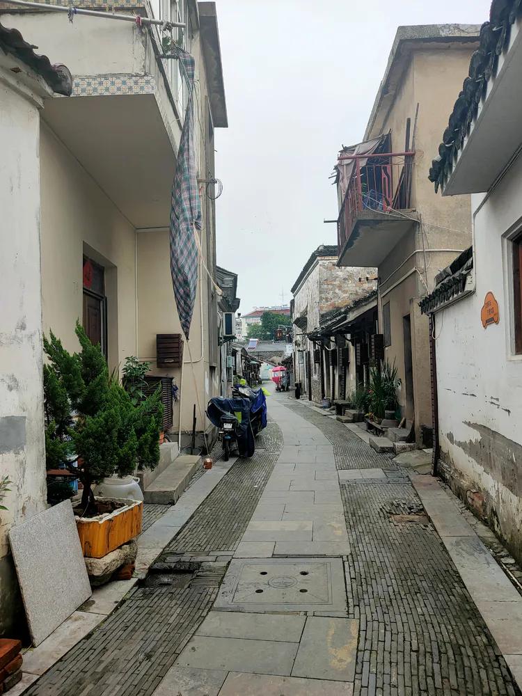 游高淳老街,逛高淳老街品固城湖螃蟹