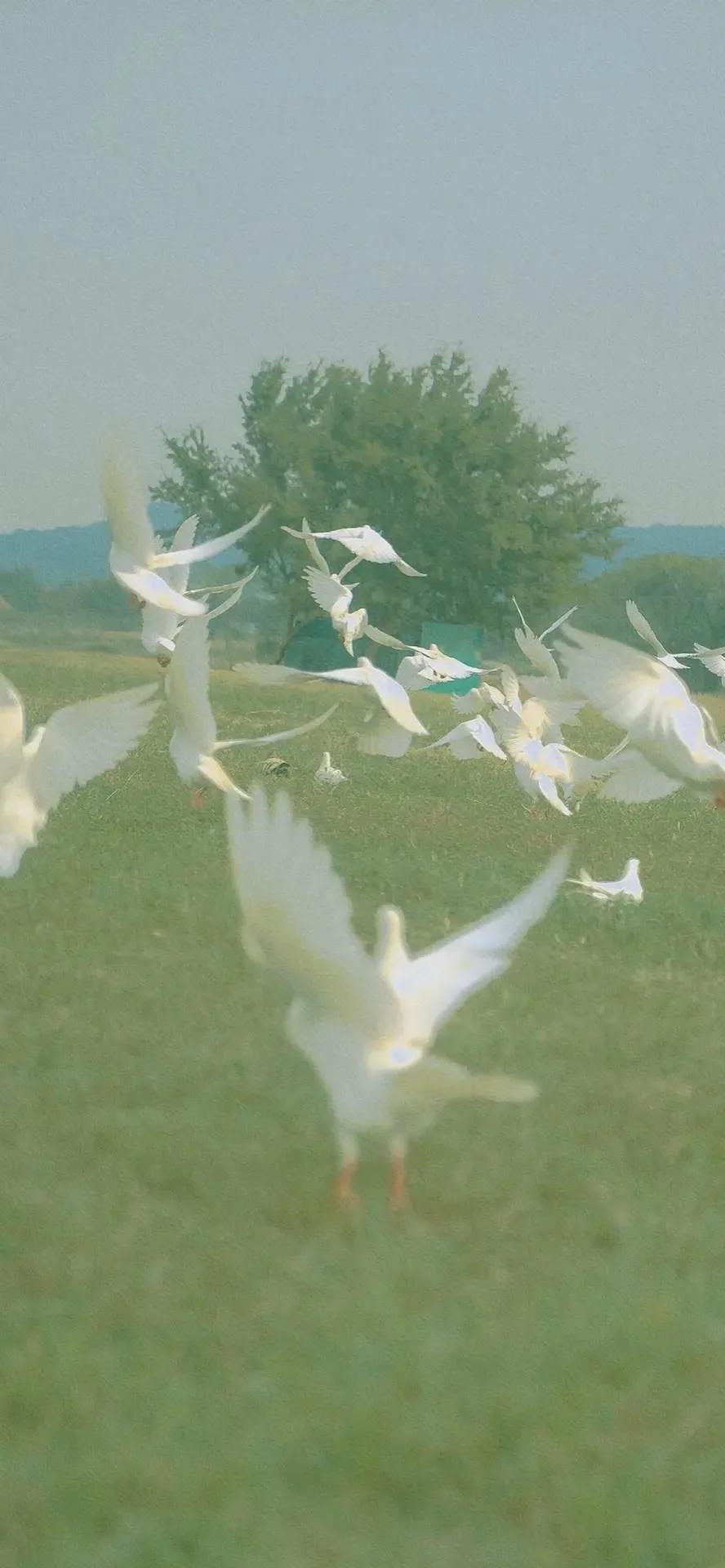 月亮高清壁纸无水印原图,高清壁纸全屏图片大全