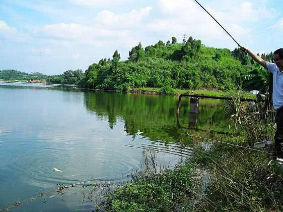 自己动手制作竹竿钓鱼,如何制作简易竹竿钓鱼