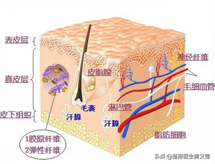 祛疤痕一站式修复,疤痕修复能完美吗