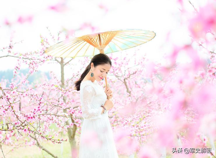 迎一片春来等一场花开经典美文,散文借一束暖阳待一树花开