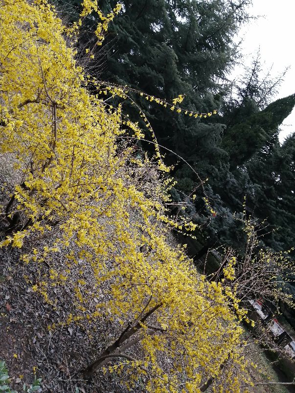 大连近郊都有哪些旅游景点,大连近郊小众景点大全