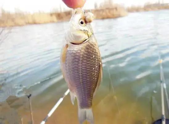 野钓怎么找钓位最简单方法,野钓这三个钓点千万不要选