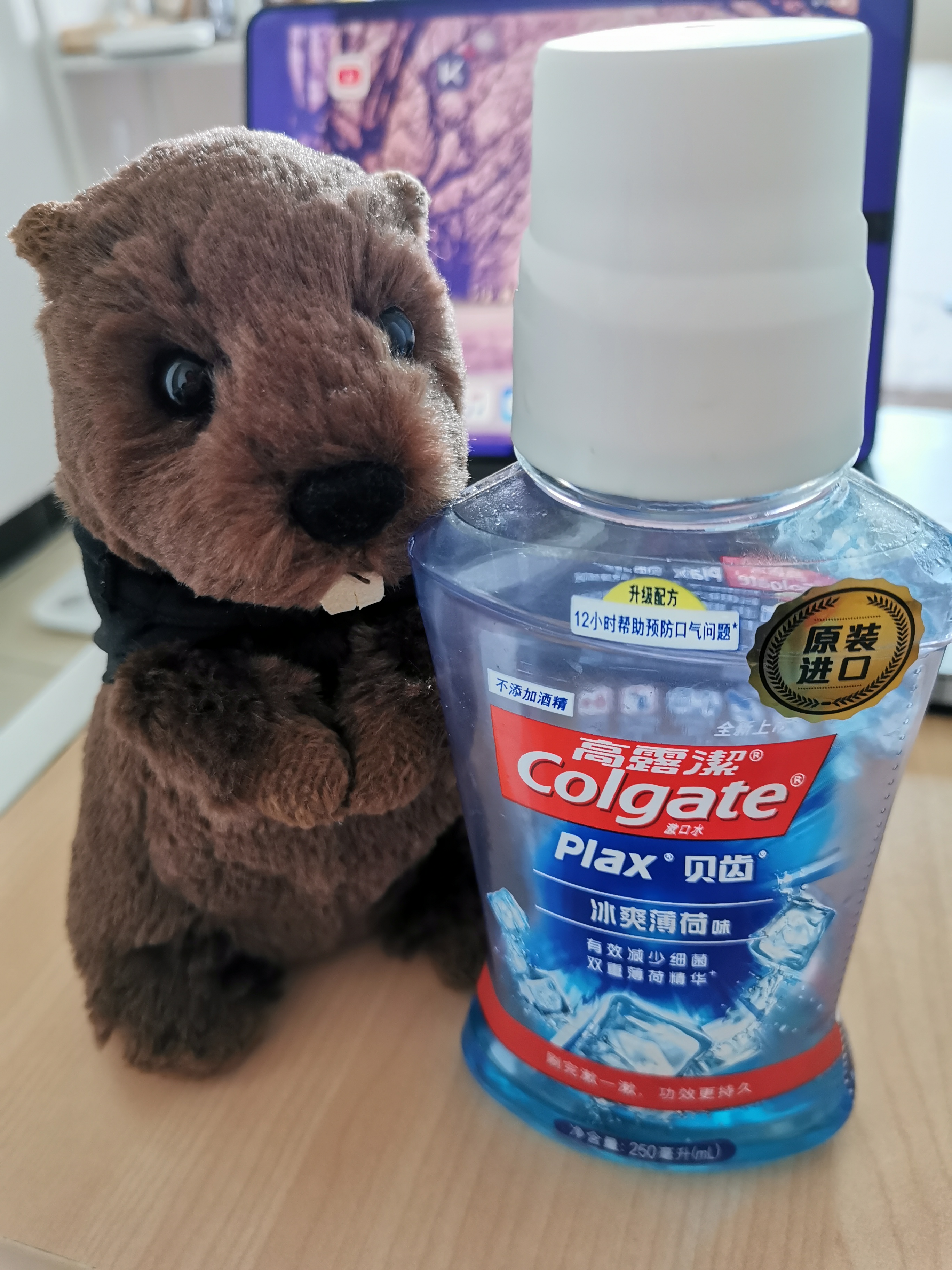 张怼怼的日常,张怼怼日常合集