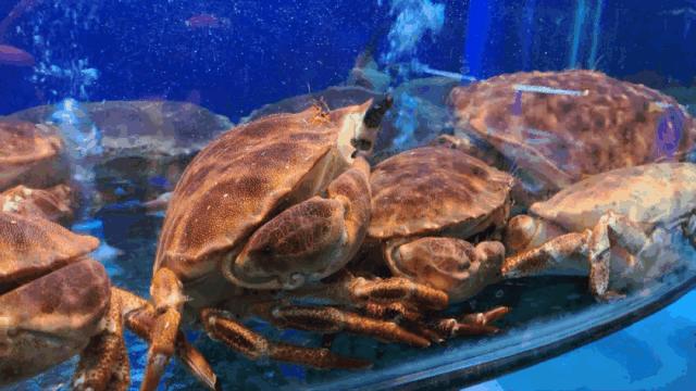 兰州好吃又实惠的海鲜,兰州值得推荐海鲜店