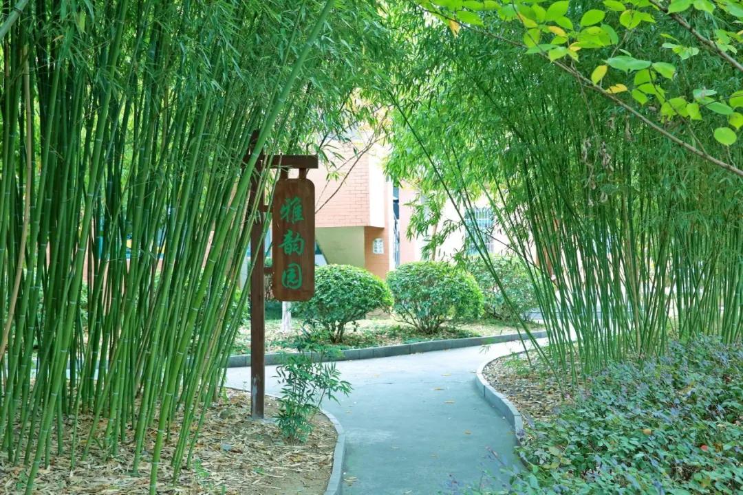 南通实验小学招生公告,南通市实验小学北校区施教区域