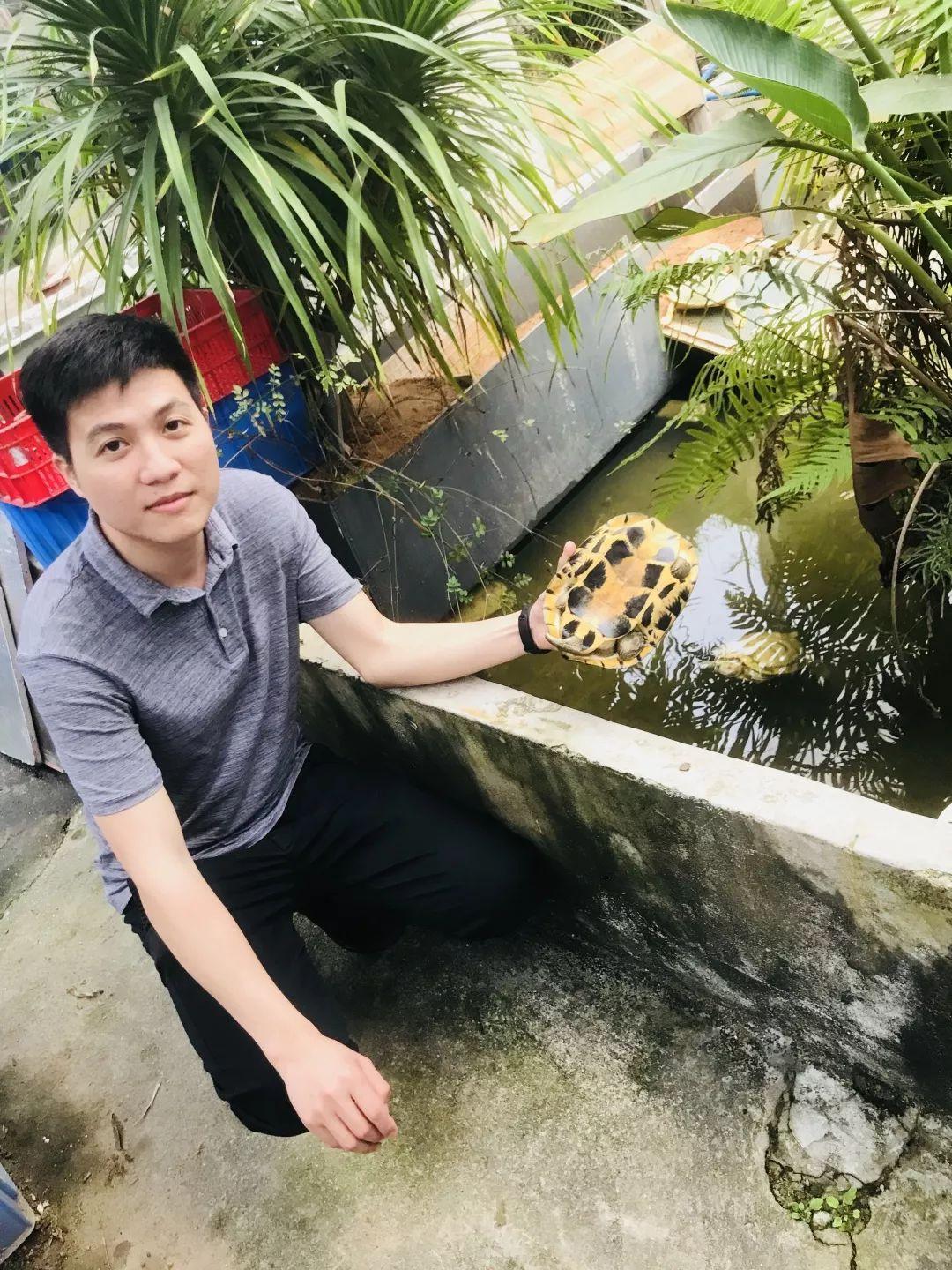 顺德龟苓膏正宗店铺,台山老字号龟苓膏