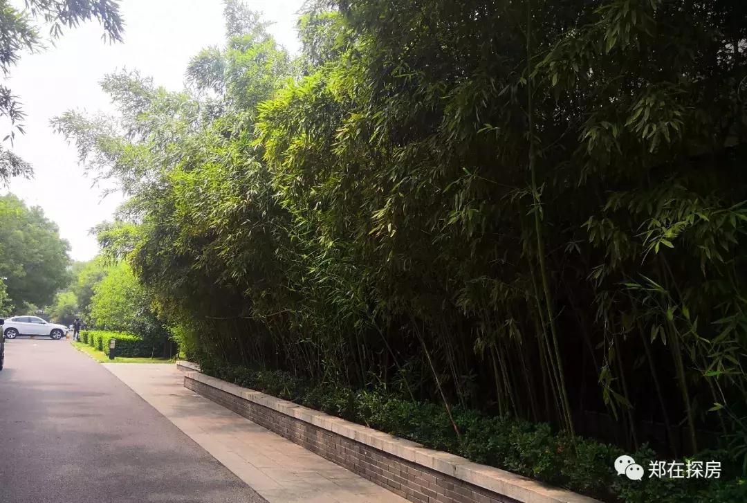 联盟新城一楼带院二手房,联盟新城一期别墅