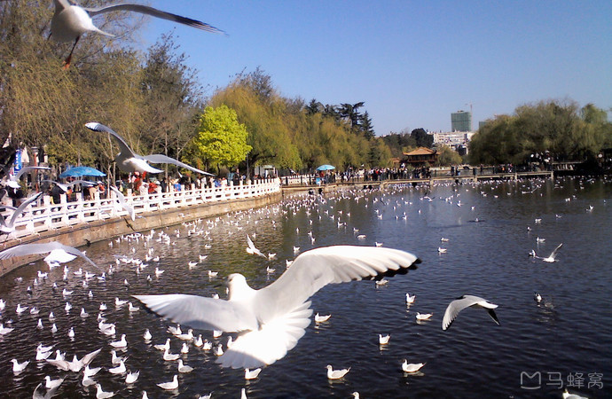 昆明一周游,周末一天游昆明官渡